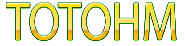 TOTOHM Logo